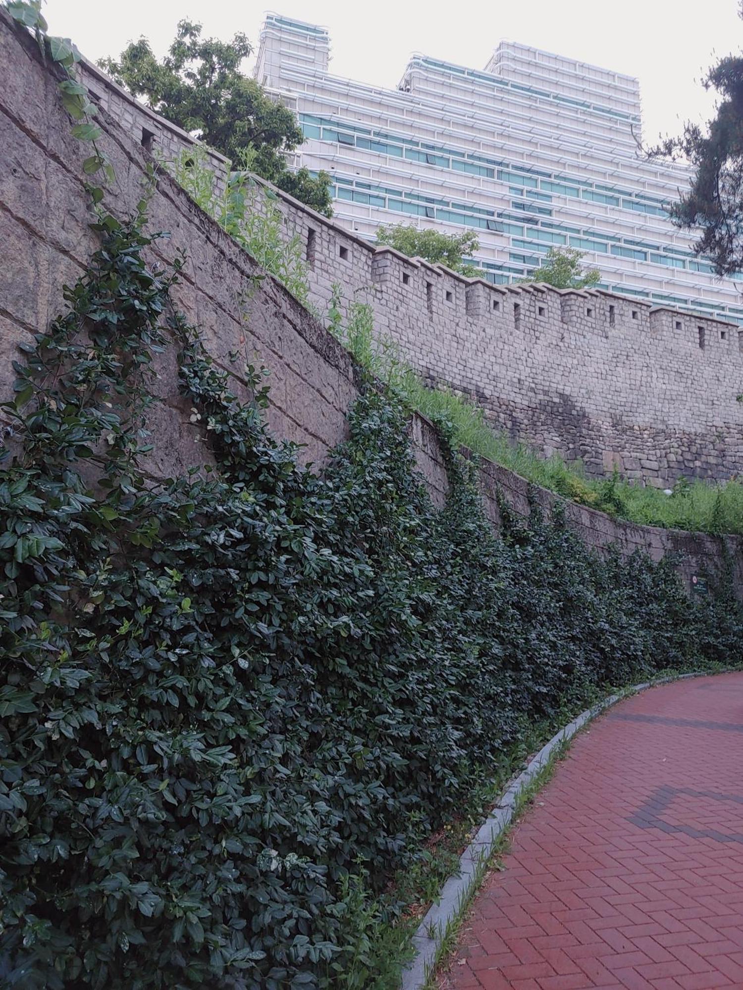 Cobe Guesthouse Dongdaemun Seul Exterior foto