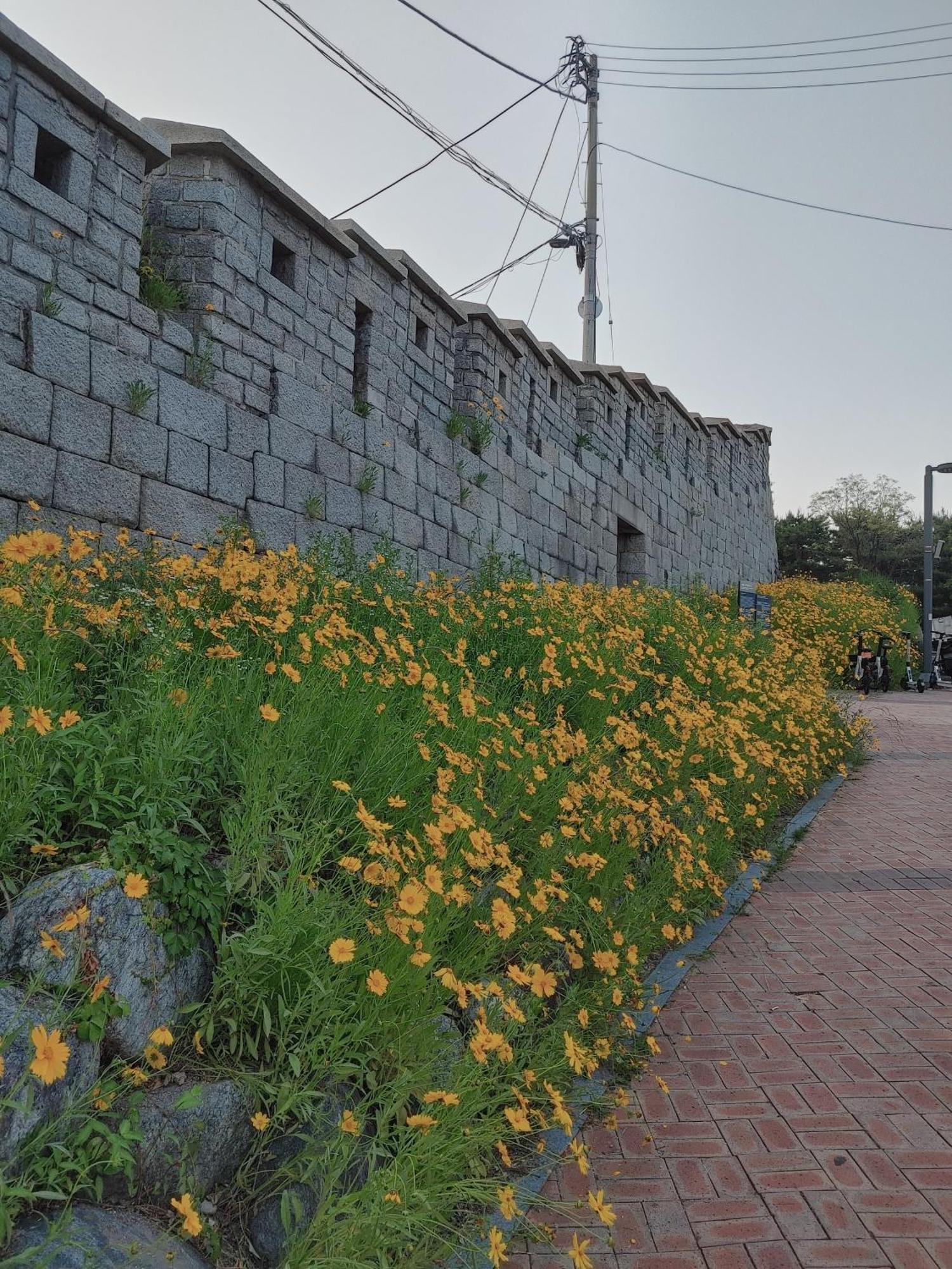 Cobe Guesthouse Dongdaemun Seul Exterior foto